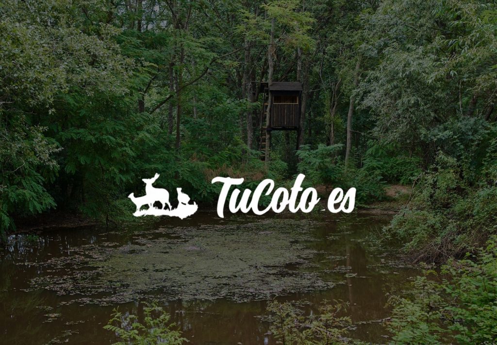 Texto (34)