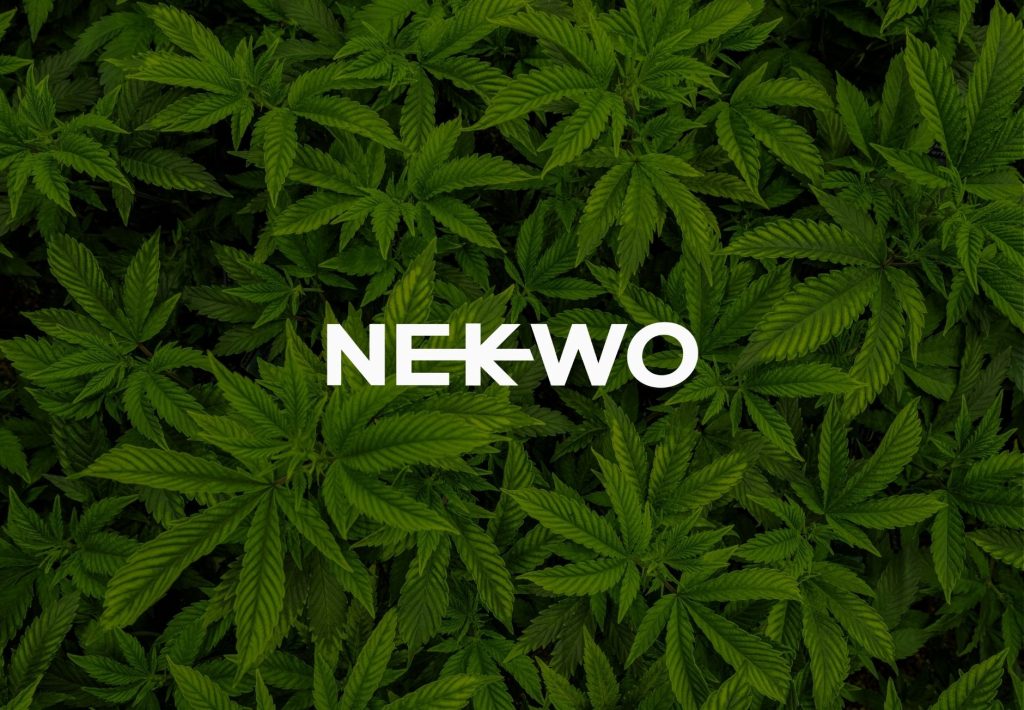Logo de Nekwo sobre fondo de hojas de cannabis verde oscuro, marca relacionada con productos de cáñamo