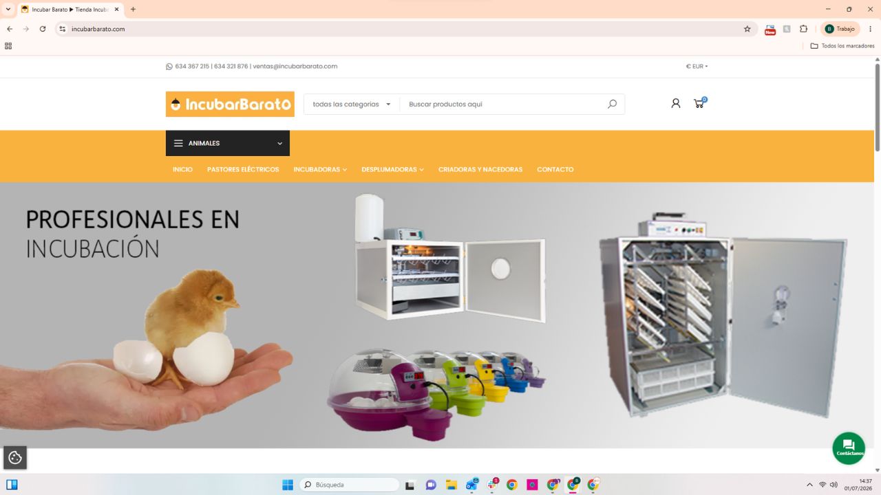 Tienda online IncubarBarato: incubadoras profesionales, nacedoras y criadoras para aves. Pollito recién nacido sobre huevos.