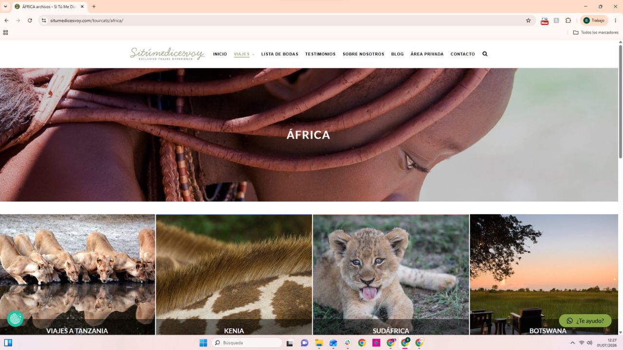 Página web de viajes a África con fotos de leones, jirafa, cachorro de león y Botswana de Si Tú Me Dices Voy