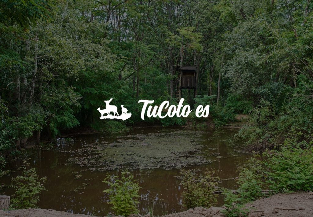 Logotipo de TuCoto.es sobre paisaje de bosque con charca y puesto de caza elevado entre árboles