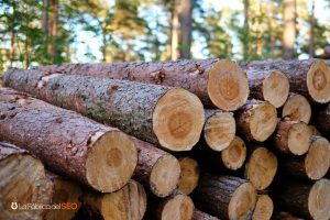 Troncos de madera apilados en el bosque listos para procesamiento industrial en empresa maderera